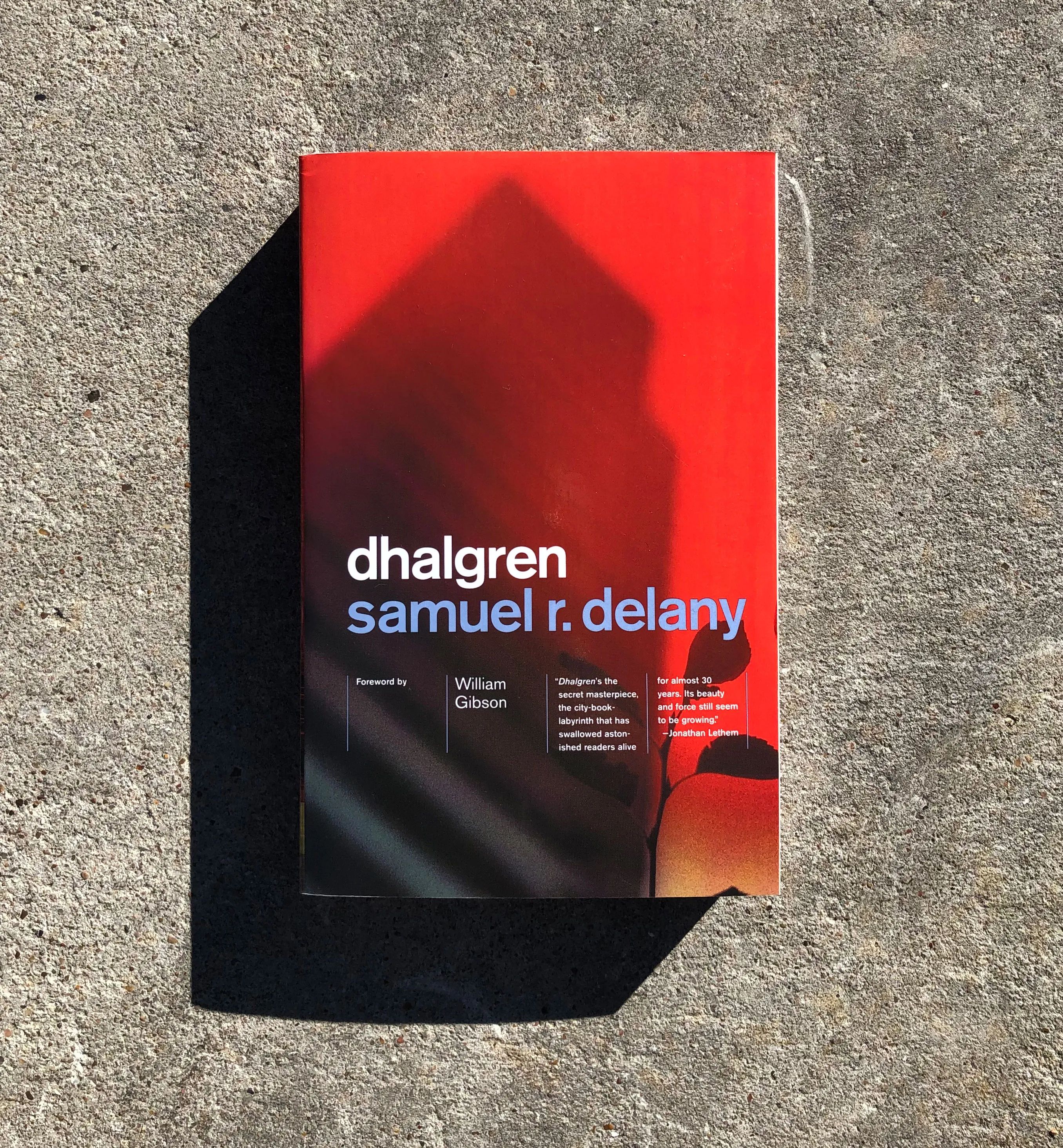 The cover of Dhalgren by Samuel R. Delany